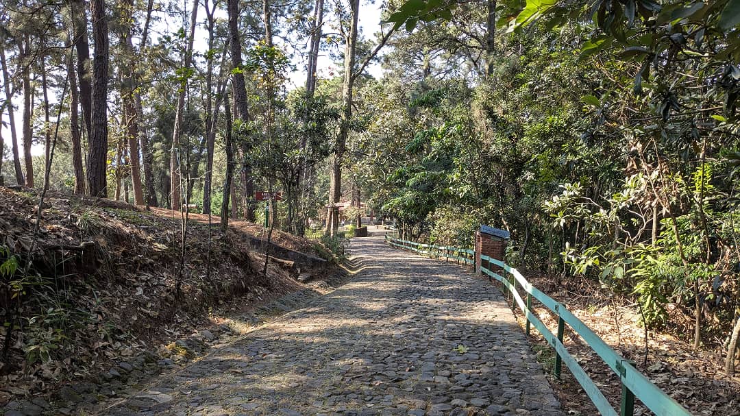 Camino de adoquines hacia la cascada Tzaráracua en el Centro Ecoturístico de Uruapan, Michoacán