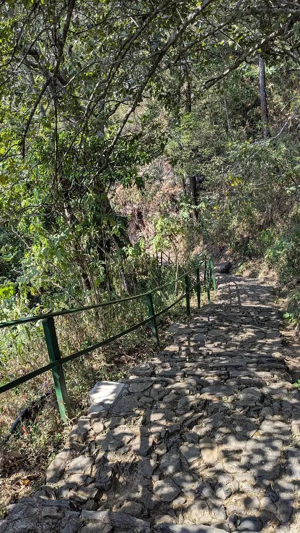 Escalones de piedra volcánica en el descenso hacia la cascada Tzaráracua, Uruapan Michoacán